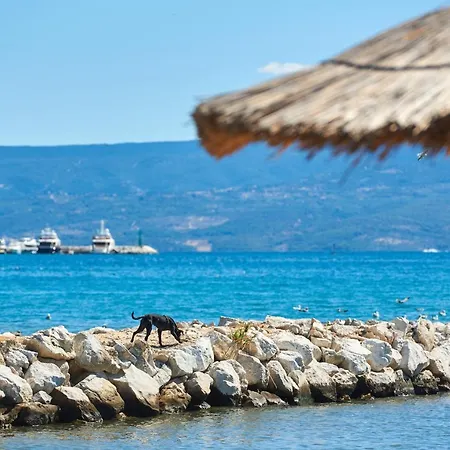 مكان تخييم Stobrec