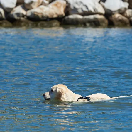 Stobrec مكان تخييم