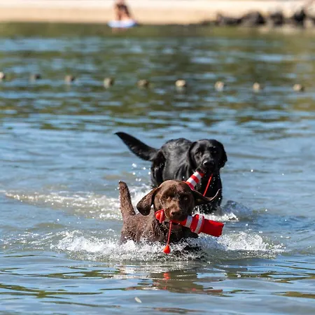 Stobrec مكان تخييم سبليت