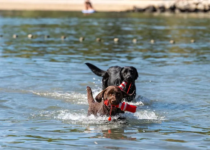 Stobrec Campingplads Split